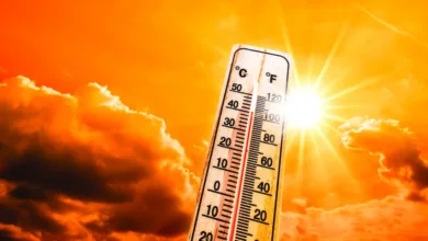 Temperaturas de até 41°C em toda Bahia | Foto: Reprodução