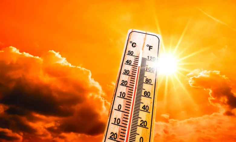 Temperaturas de até 41°C em toda Bahia | Foto: Reprodução