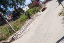 also vendedor tenta sequestrar bebê em Terra Nova