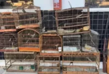 Ameaça contra mulher em Seabra | Foto: Reprodução