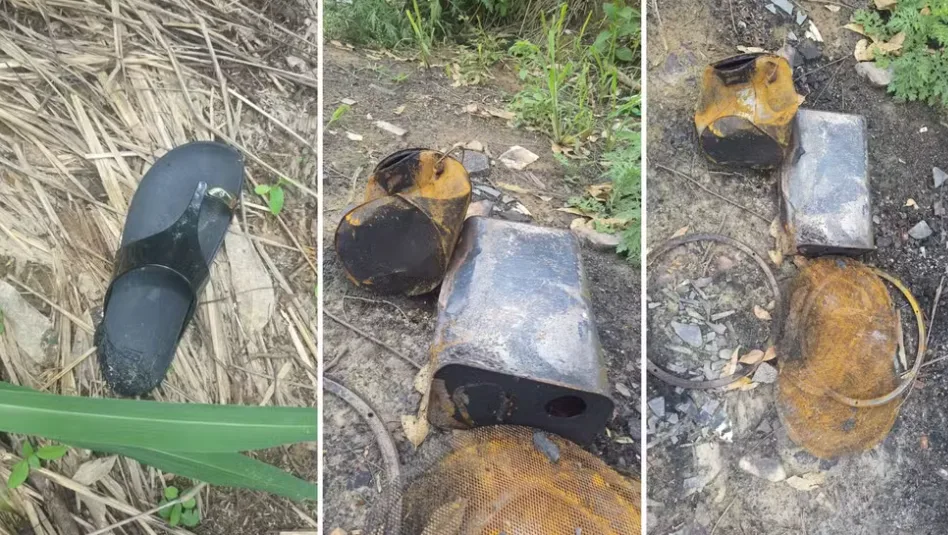 Grávida morta e esquartejada