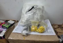 drogas apreendidas em encomendas dos Correios | Foto: Reprodução