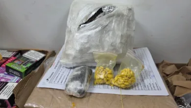 drogas apreendidas em encomendas dos Correios | Foto: Reprodução