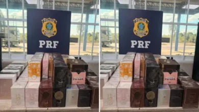 Perfumes do Paraguai apreendidos na BR-116 | Foto: Reprodução